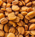 fenugreek
